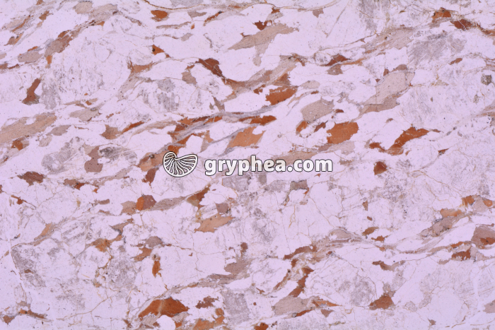 Gneiss LPNA x3,5 - gryphea.com